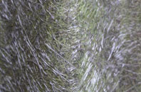 Roughhill fibreglass roof work